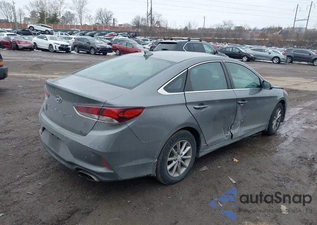 5NPE24AF8JH698985: 44398254