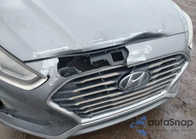 5NPE24AF8JH698985: 44398254