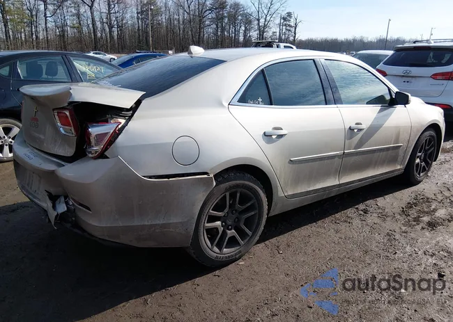 1G11C5SL4EF302324: 44398819