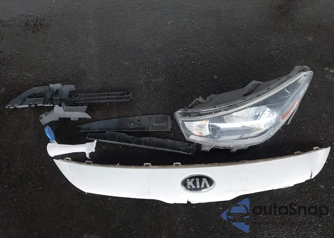 3KPA24AD4LE312244: 44399850