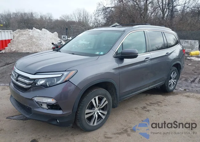 5FNYF6H54JB008027: 44399440