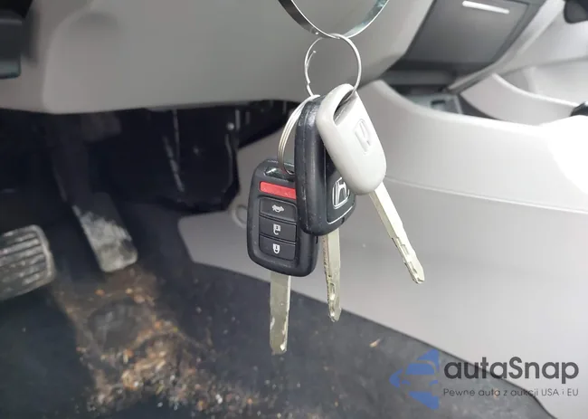 19XFB2F5XFE218742: 44401260