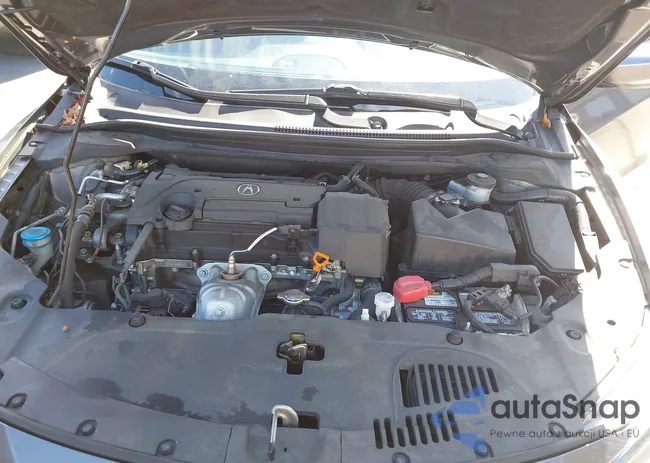 19UDE2F81KA015035: 44401324