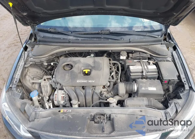 5NPD84LF5HH017604: 44401656