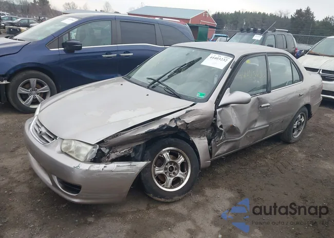 2T1BR12E51C493372: 44403232