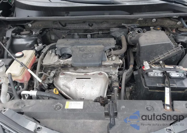 JTMBFREV0FJ031283: 44402732