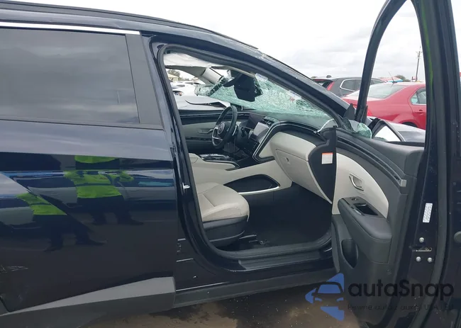 KM8JFCA11PU106287: 44403852