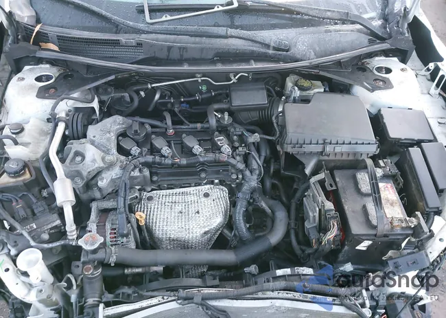 1N4AL3AP6FN402146: 44403905