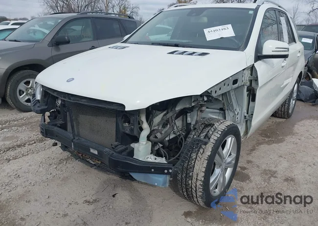 4JGDA5HB6DA202578: 44403483