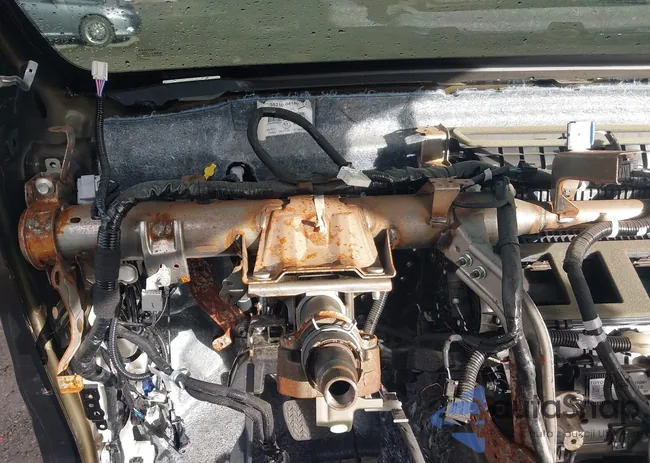 3TMLB5JN1RM068493: 44403486