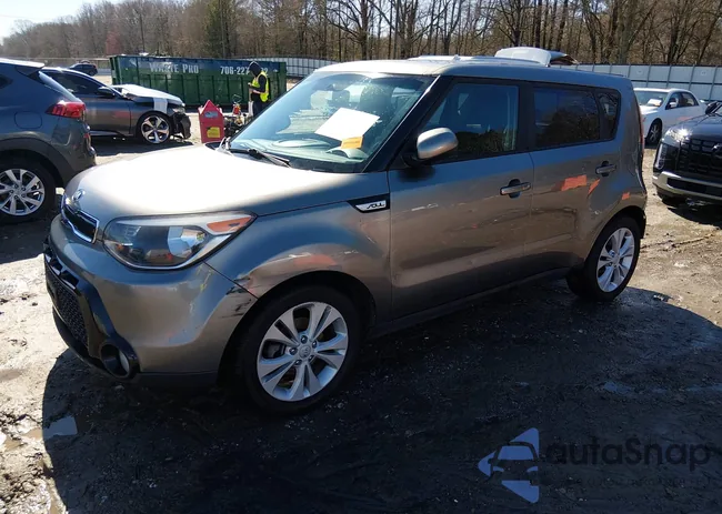 KNDJP3A56G7331355: 44403561