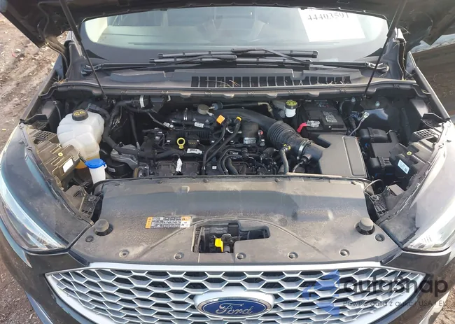 2FMPK4J99RBA81407: 44403591