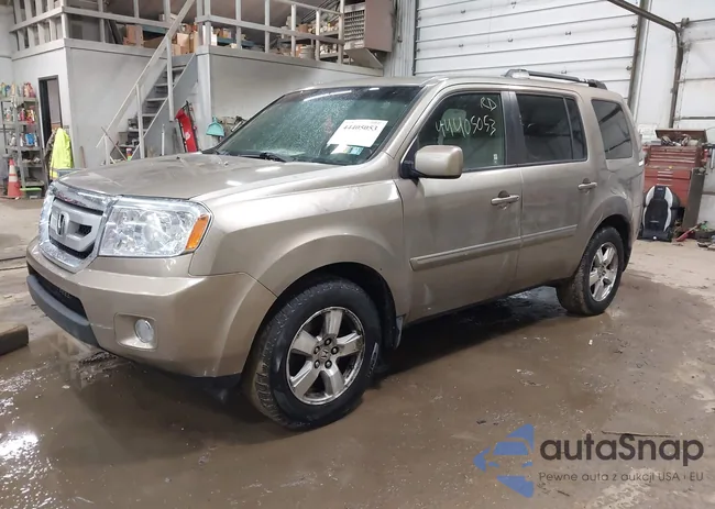 5FNYF48669B036131: 44405053