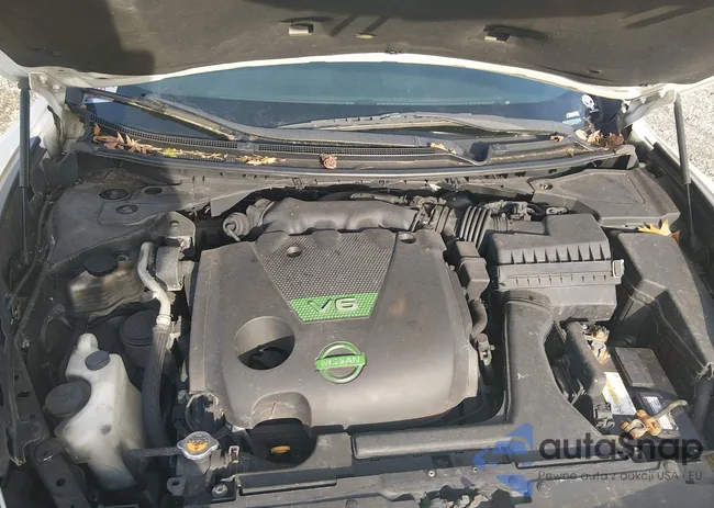 1N4AA5AP9DC800770: 44405228