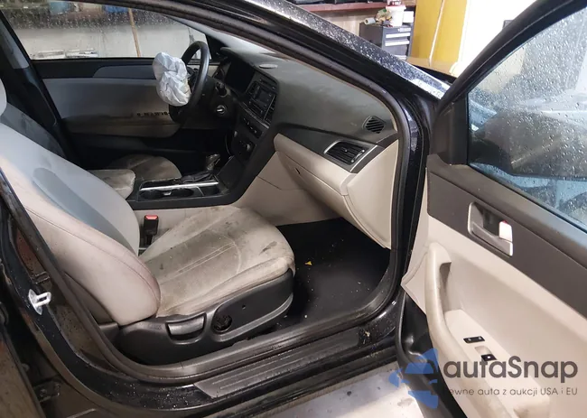 5NPE24AF7FH173567: 44405900