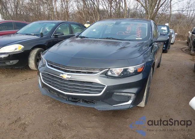 1G1ZD5ST6JF137077: 44405928