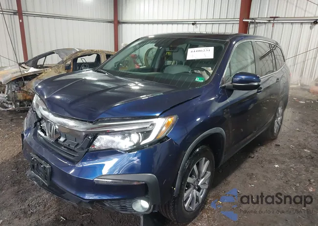 5FNYF5H54KB008184: 44406231