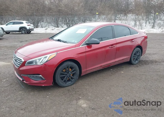 5NPE24AF6FH177626: 44406264