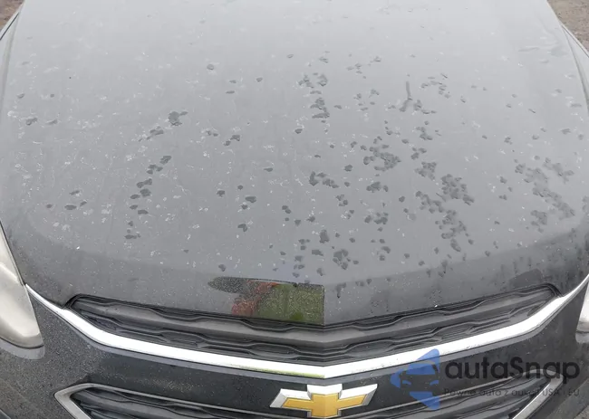 2GNALBEK9H1517239: 44406411