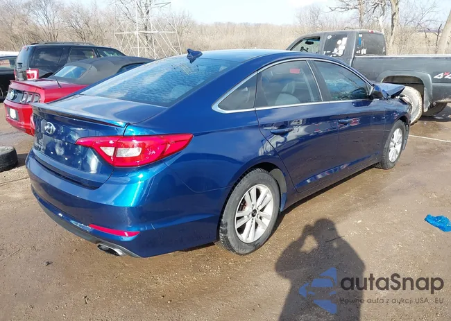 5NPE24AF7FH203313: 44406558