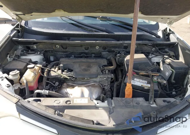 JTMWFREV1HJ702951: 44406611