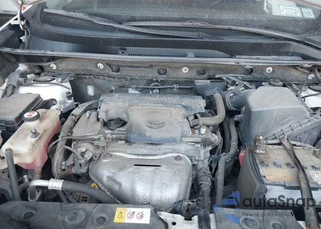 JTMBFREV9JJ718898: 44408134