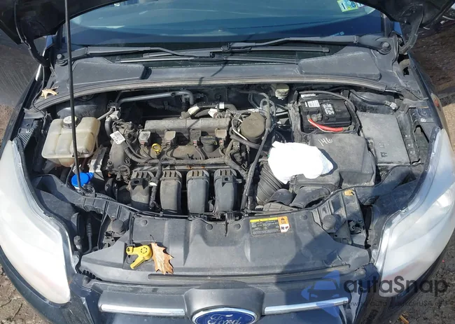 1FADP3F22DL232181: 44408251