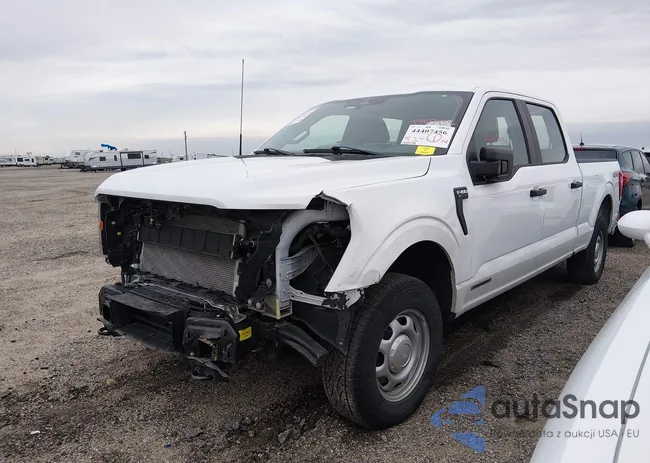 1FTFW1ED8PFB36748: 44407456