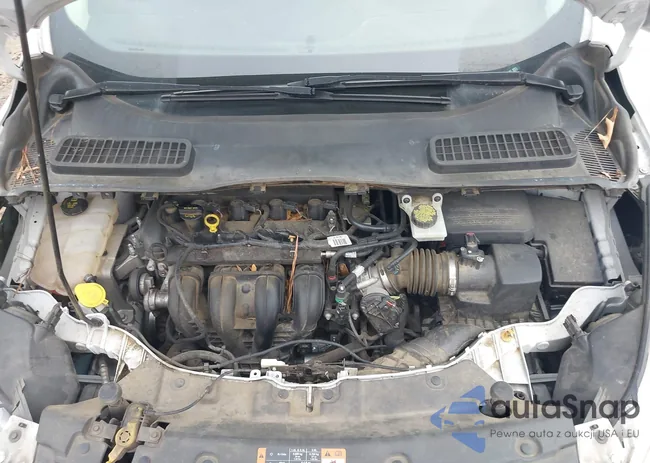 1FMCU0G77FUB54187: 44408875