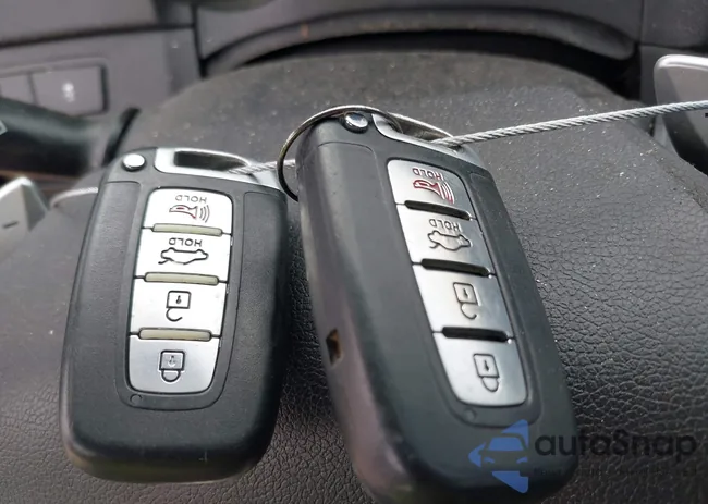 5NPEC4AC1BH059951: 44409168