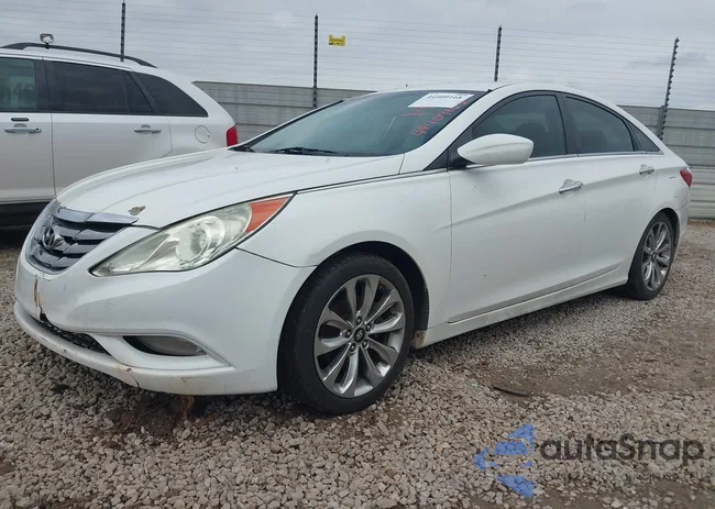 5NPEC4AC1BH059951: 44409168