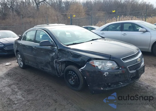 1G1ZG57B09F254561: 44409250