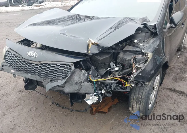 KNAFK4A64G5567630: 44409338