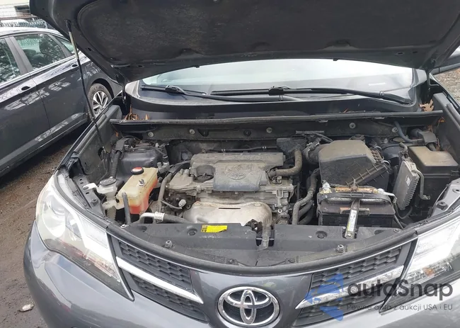 JTMBFREV6FD144802: 44409360