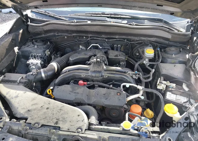 JF2SJADC9FH480891: 44408529