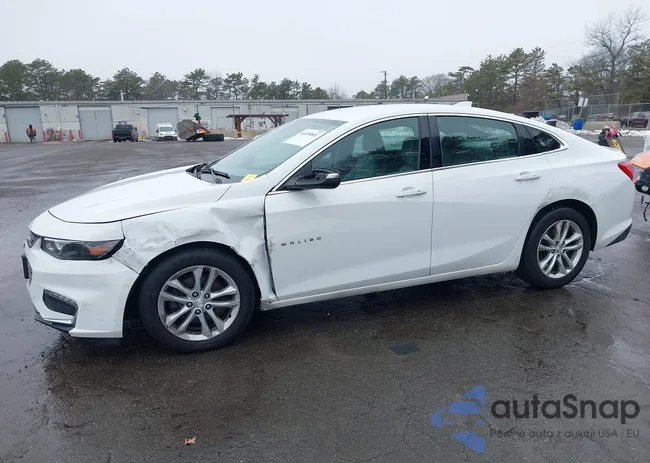 1G1ZE5ST6GF267883: 44408801