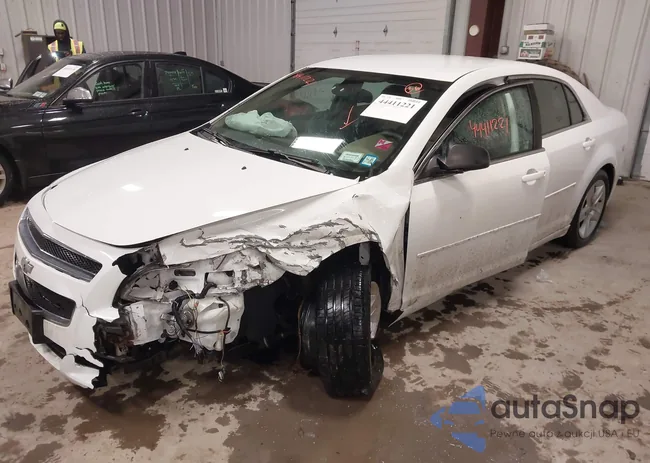 1G1ZB5E05CF225418: 44411221