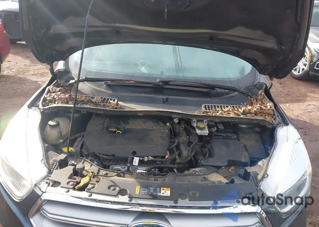 1FMCU9GD2HUE76281: 44410479