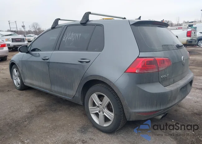 3VW217AU1HM062495: 44410711