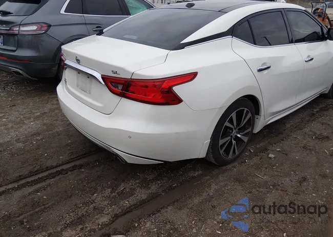 1N4AA6AP3HC446000: 44412356