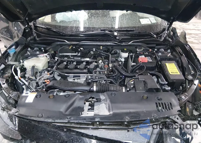 19XFC1F33LE220348: 44412371