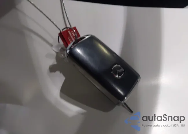 3MVDMBDMXPM528035: 44411557