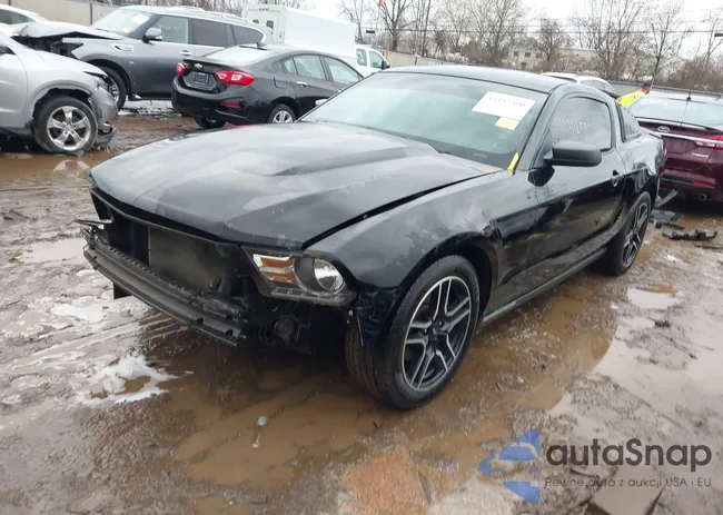 1ZVBP8AM1C5273179: 44412590