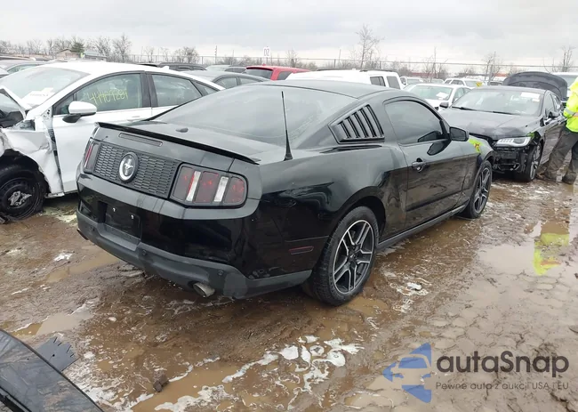 1ZVBP8AM1C5273179: 44412590