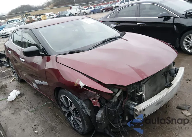 1N4AA6AP1GC431929: 44412784