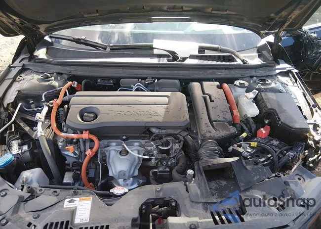 1HGCY2F58RA071489: 44414244