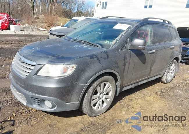 4S4WX97D284408163: 44415310