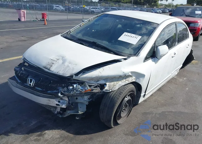 2HGFA1F52AH544966: 44416231