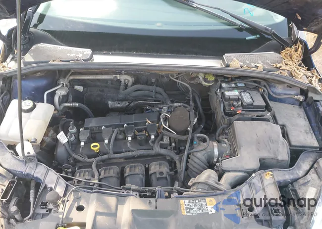 1FADP3N2XGL222620: 44417023