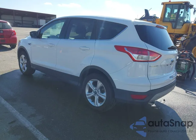 1FMCU9G99FUA31724: 44419086